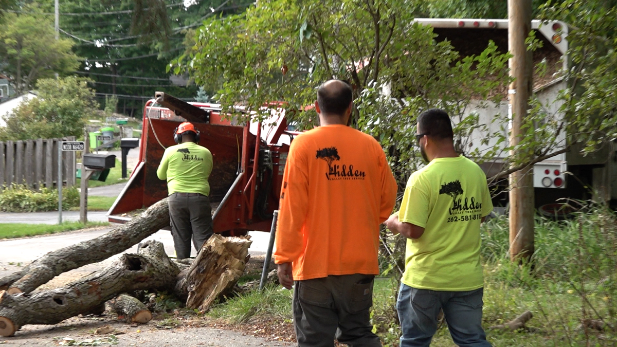 Hidden Valley Tree Service.